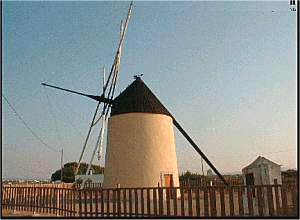 Molino en Torre Pacheco (frag. Murciaregion.com)
